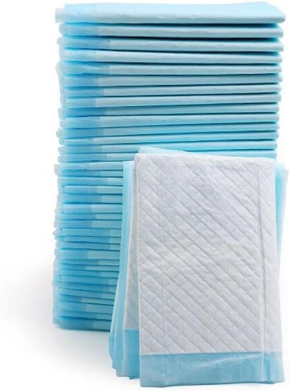100 Counts Pet's Training Pads,Thick And Super Absorbent (Small 100-Count)