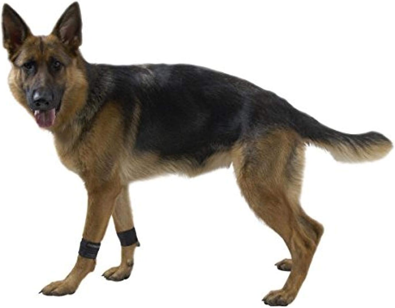 Kruuse Rehab Carpal Joint Protector for Dogs, X-Large