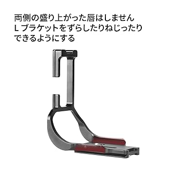 Amazon | SWFOTO PCL-R6IIG キャノンR6iiバッテリーグリップBG
