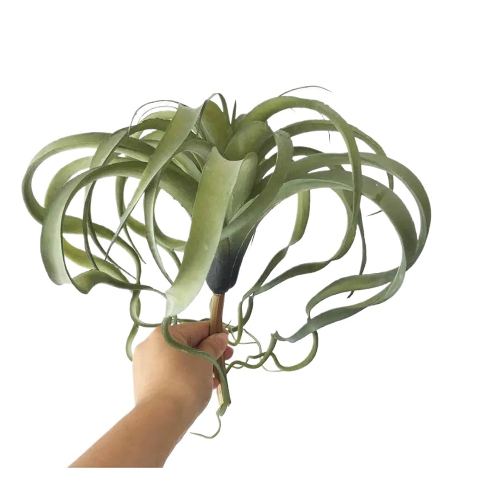 Casetlong 1PC Green Plant Artificial Flower Plastic(1)