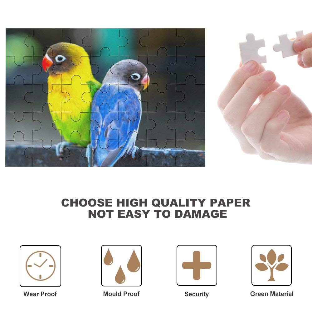 Amazon | 35ピース ジグソーパズル 二匹の可愛いインコ 木製パズル