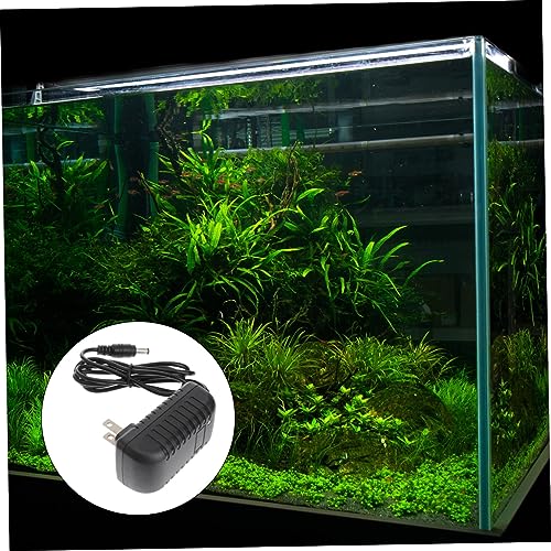 UKCOCO Liderado Brinquedo Teaser De Halloween Para Gatos Plugue Para Luz De Peixe Adaptador De Fonte