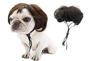 Paw-some Pet Wigs for a Tail-Wagging Transformation