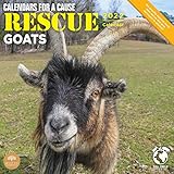 2022 Rescue Goats Monthly Wall Calendar by Bright Day, 12 x 12 Inch, Cute Farm Animals Calendars for...