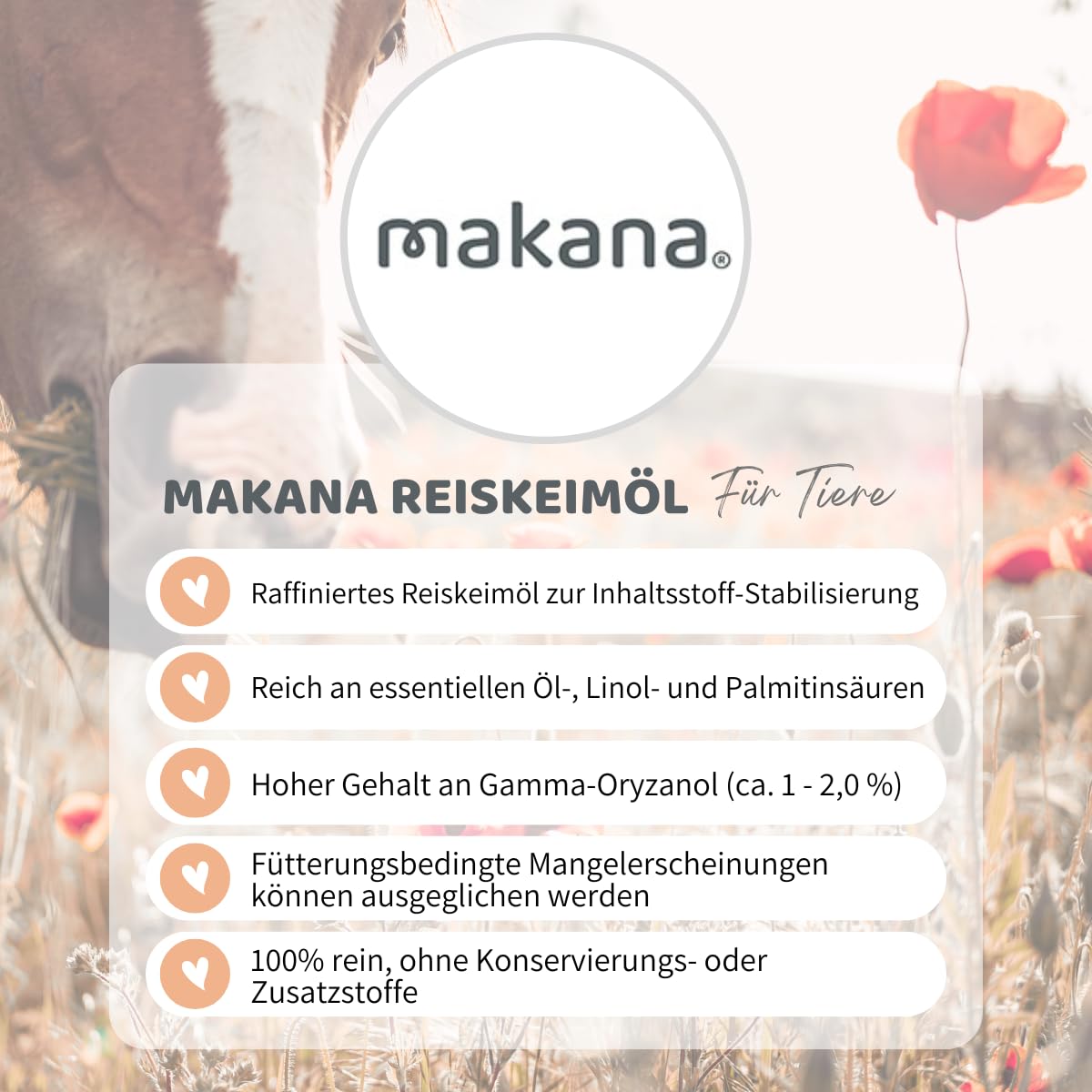 Makana Reiskeimöl für Pferde, raffiniert, 5 l Kanister