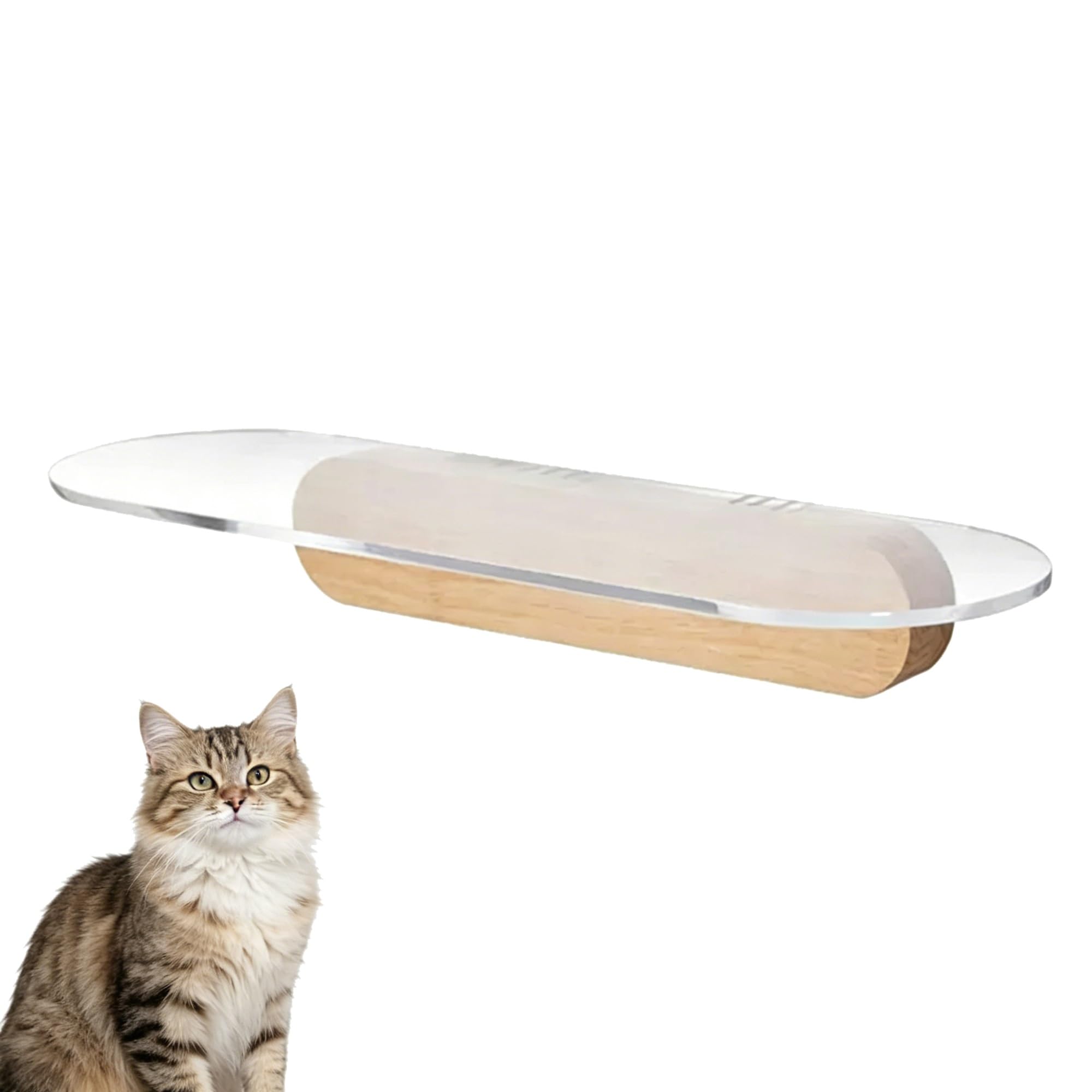 Acrilico Mensole per Gatti, Mensole Gatti da Parete, Portata Massima 20 Kg per Soggiorno e Appartamento(40cm/16in)