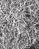 Shredded Paper (Silver) Party Accessory