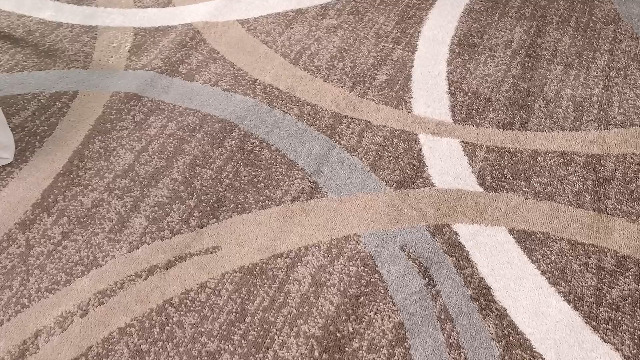 アギュー argue Amazon.com: Rugshop Modern Wavy Circles Design Runner Rug