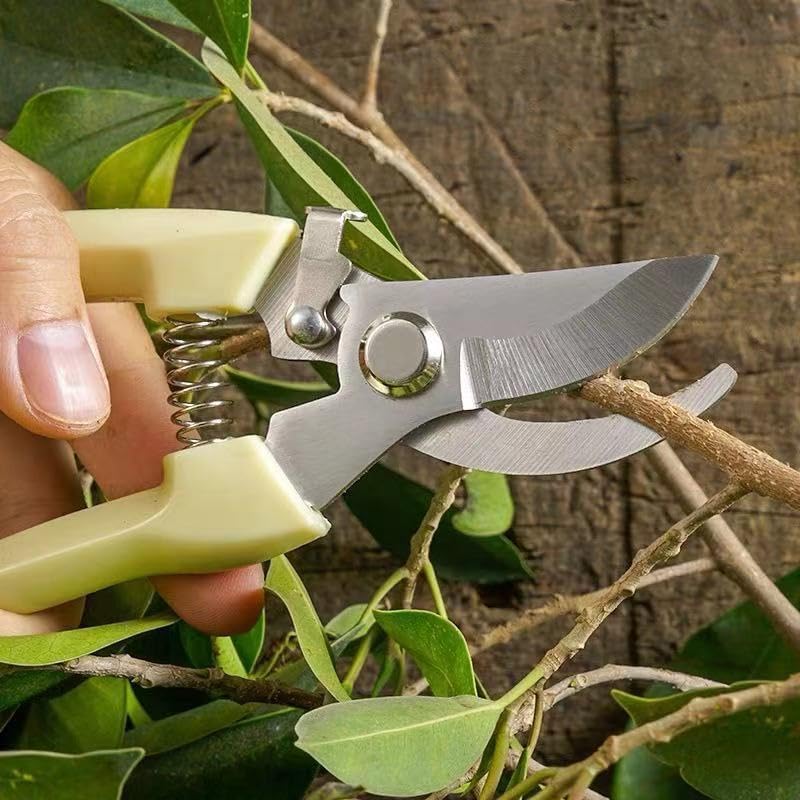 Tijeras de jardín para plantas y podar flores miniatura 3