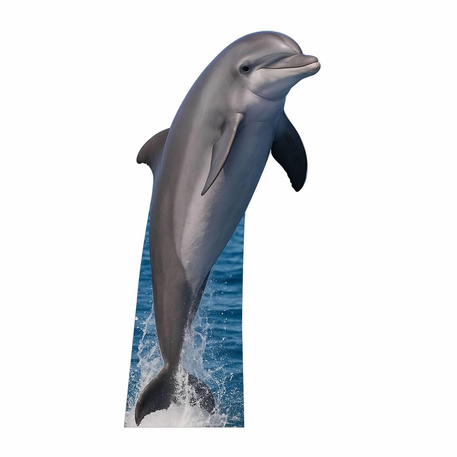 Dolphin 6FT Life Size Cardboard Cutout – A Fun Animal Standup for Photo Booths, Birthday Parties, and Events
