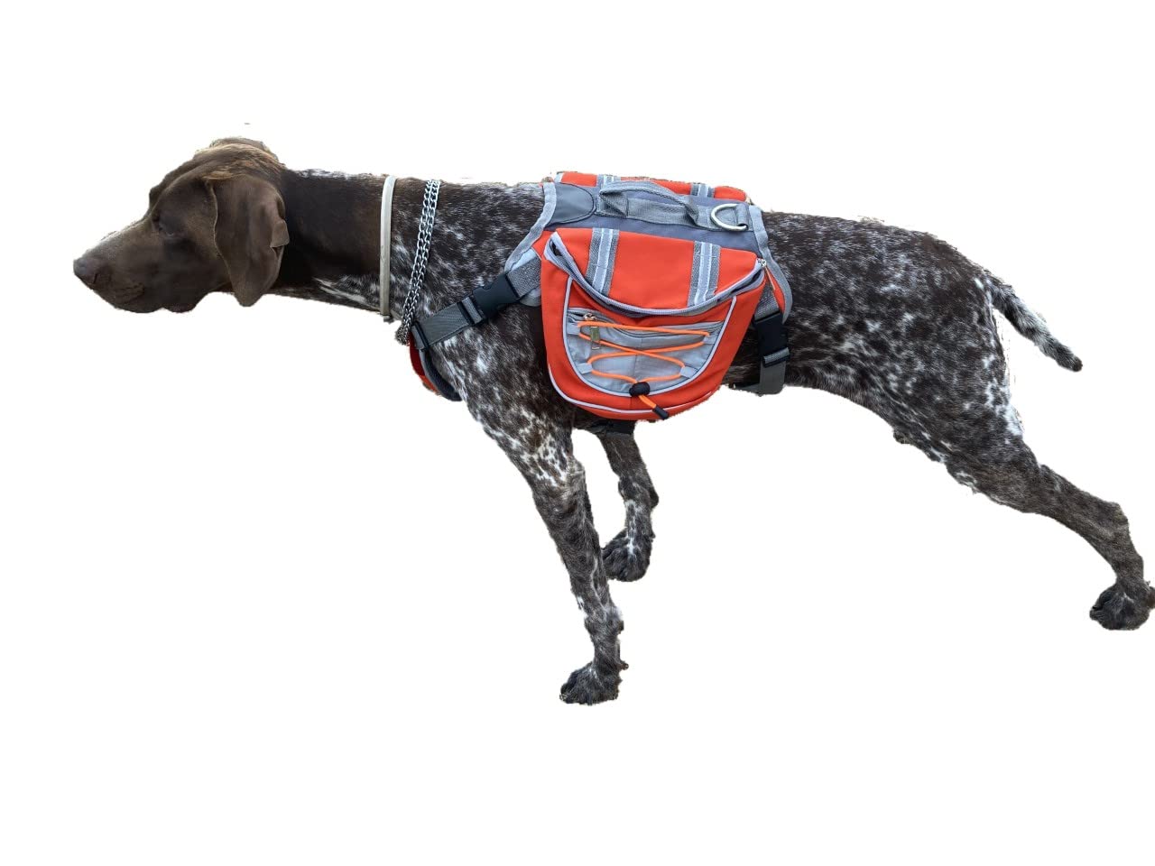Zaino bisaccia per cani regolabile per trekking, imbracatura con manico per viaggi. Doppia tasca grande per accessori. Sicurezza e striscia riflettente, traspirante comoda leggera.