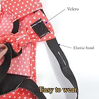 Vista 4 de MANON ROSA Pañales de pollo, gallinas bantam, juego de 6 piezas reutilizables con corbatín, pañales para aves de corral, lavables, impermeables