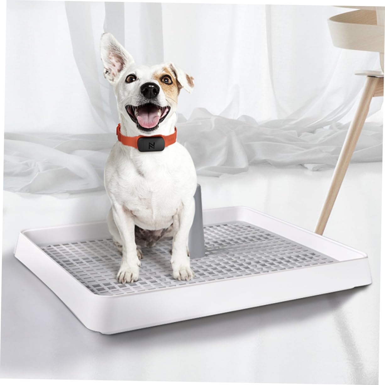 BESPORTBLE Dog Training Urinal Open Type Basin Small Breed Easy to Use