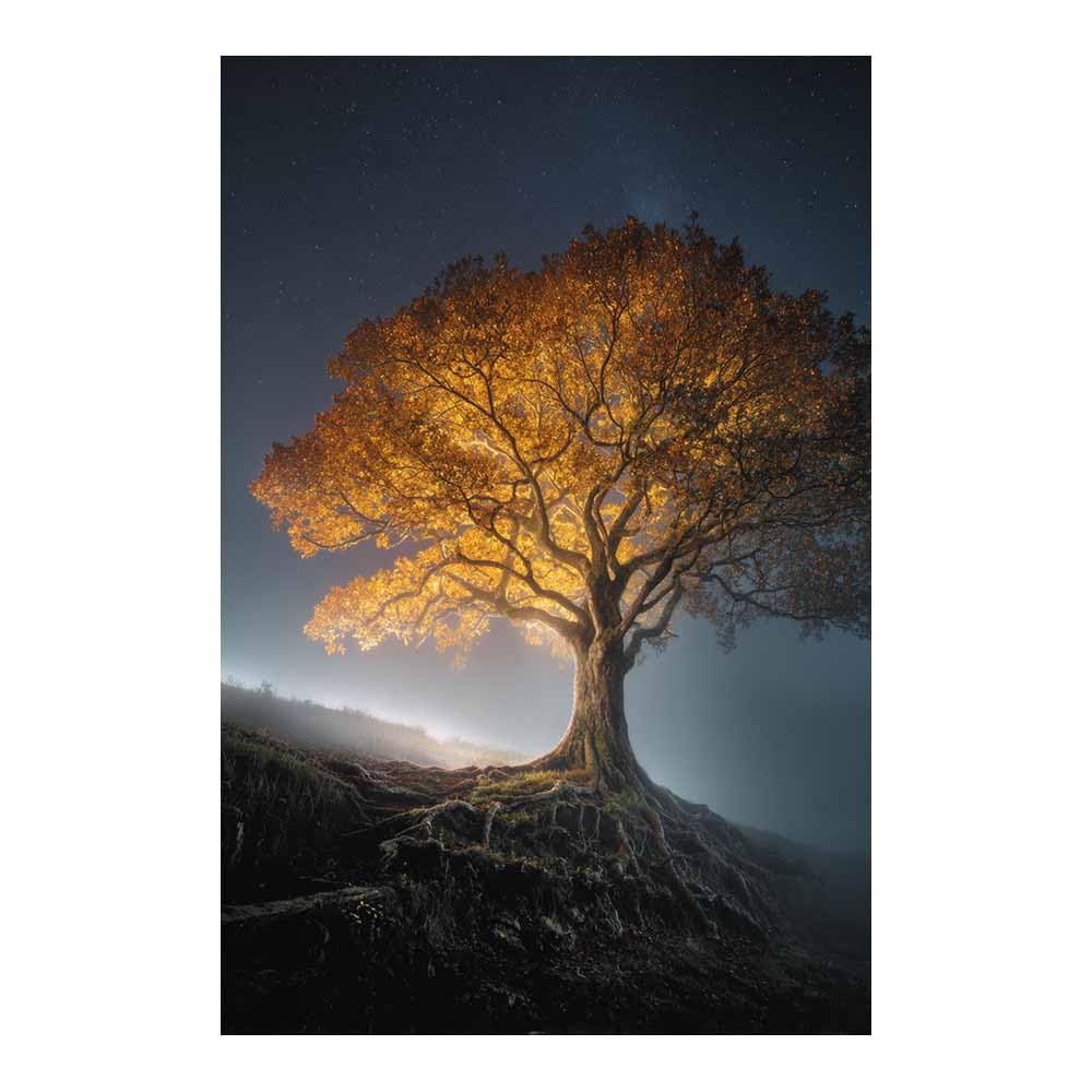 HOQIU Tree Of Life Wall Art Glowing golden tree canvas prints, nature wall art, for Bathroom Home Office Decor(Multicolor)-70x100cm Unframed