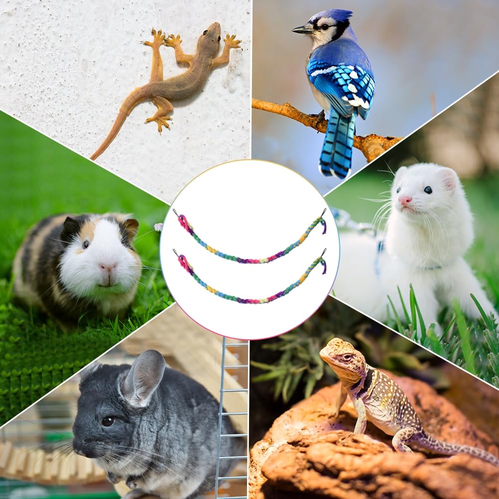 DONGKER Corda Arrampicata per Piccoli Animali,2/4 Pezzi Giocattolo per Aliante Zucchero con Fibbia in Metallo per Ratto Furetto Pappagallo Esplora Esercizio