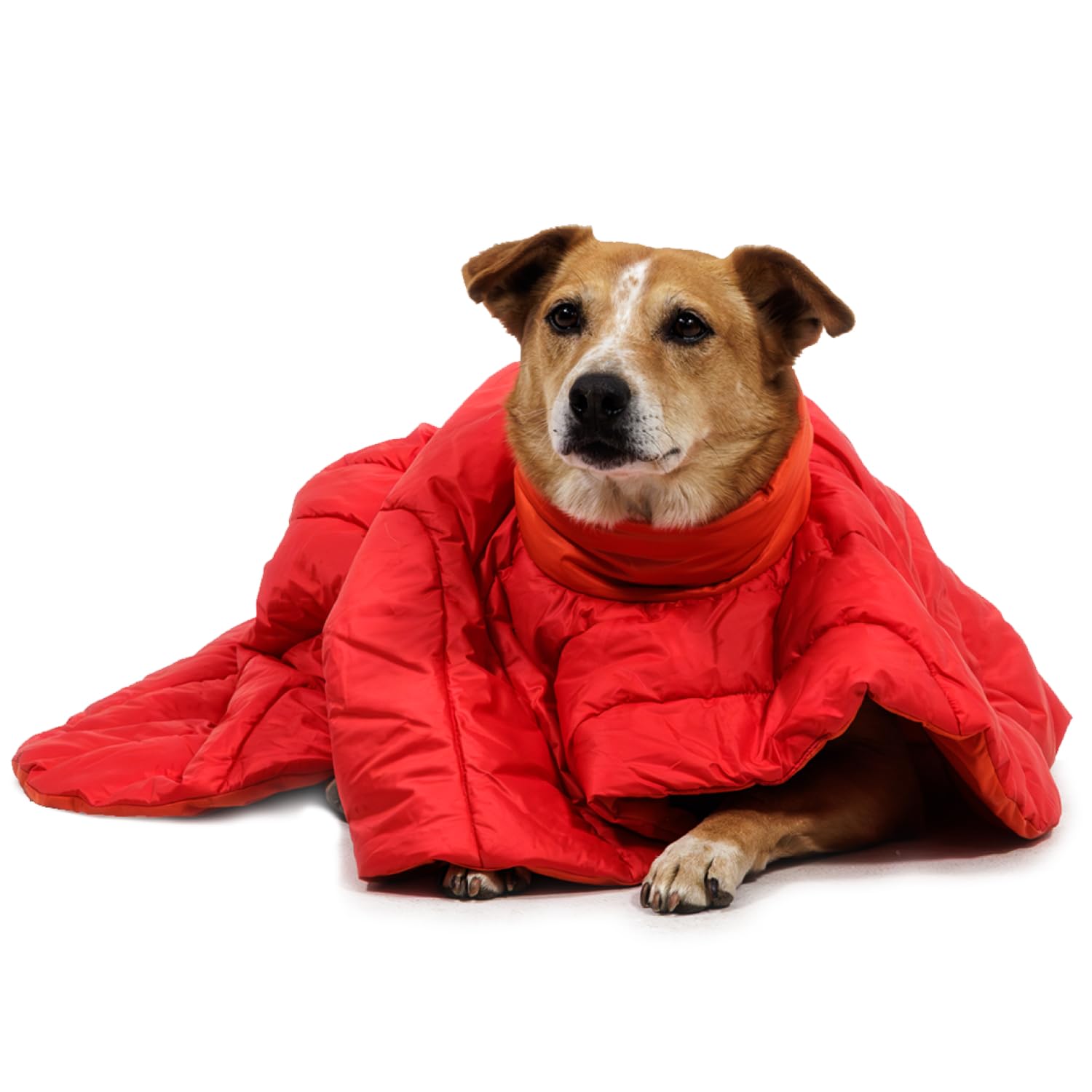 RUFFWEAR Palisades - Poncho de dormir, saco de dormir para perro, abrigo para perro pequeño, chaqueta ligera para mascotas para acampar e invierno, grosella roja, talla S