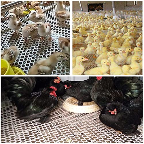 Cerca de alambre de plástico blanco anticaída para delimitar gallineros 6