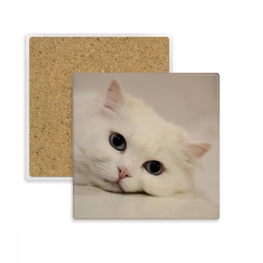 Coaster Chat Blanc porte-tasse en pierre de qualité supérieure style art