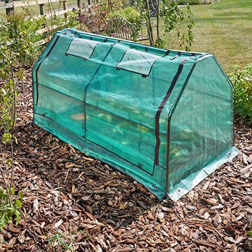 Smart Garden GroZone Max Cloche