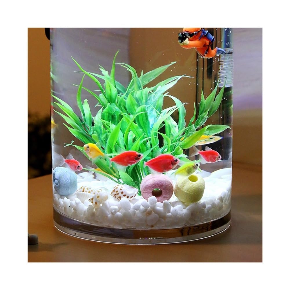 Aquarium Transparentes Glas-Aquarium for Wohnzimmer, Büro oder Schreibtisch, zylindrisch(20cm)