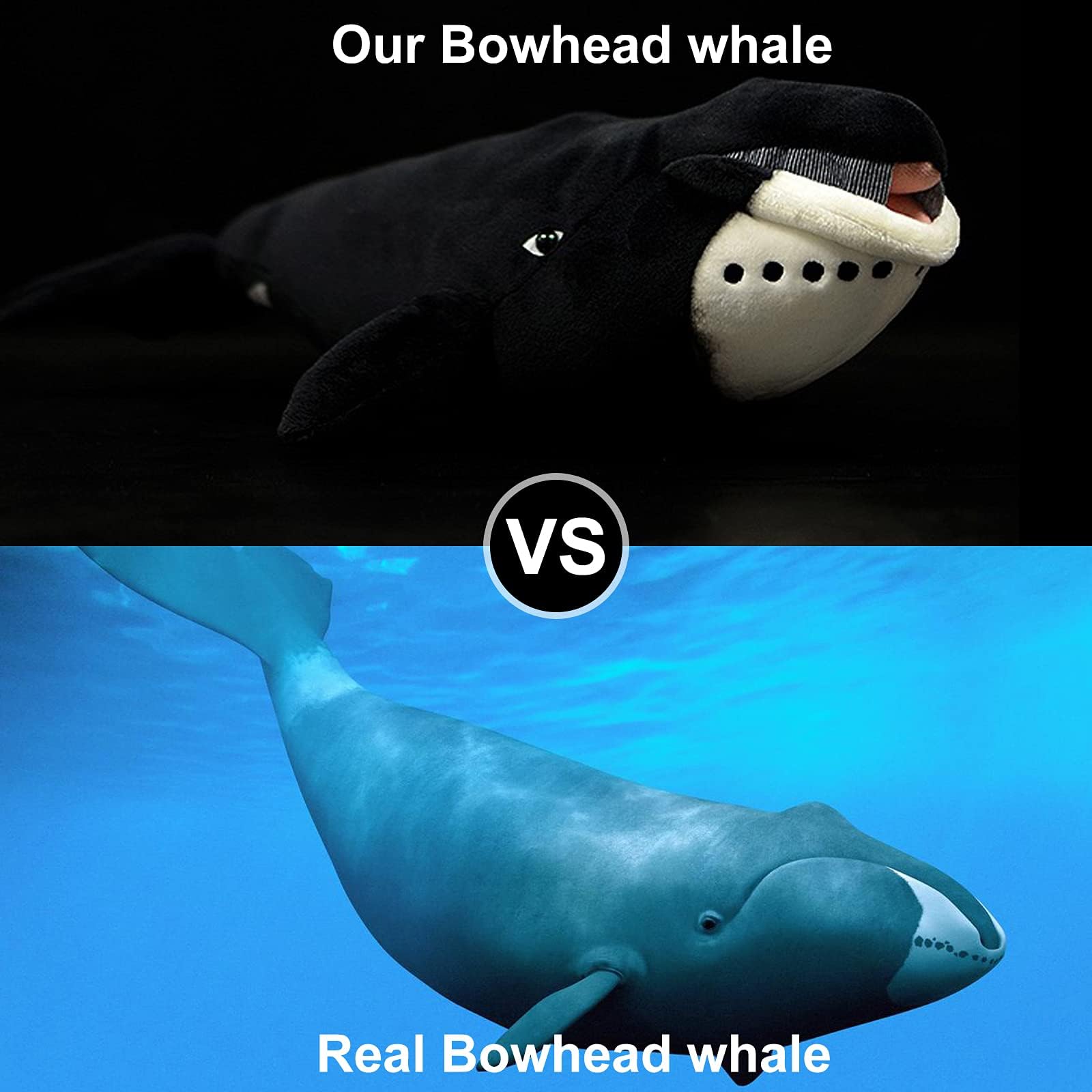 Tiny Heart 17inch Simulated Bowhead whale Plush Toy, Realistic Soft Plush Stuffed Whale Animal Toys - Image 2
