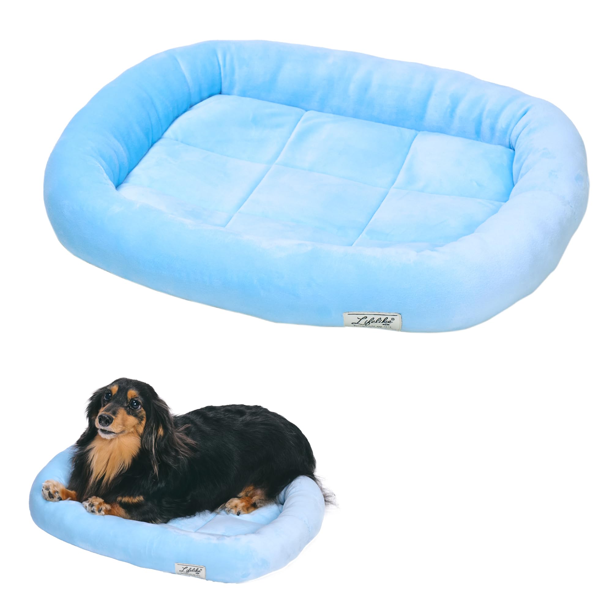 Amazon | 【LIFELIKE公式】ソフトウレタンベッド ベッド 犬 猫 ペット