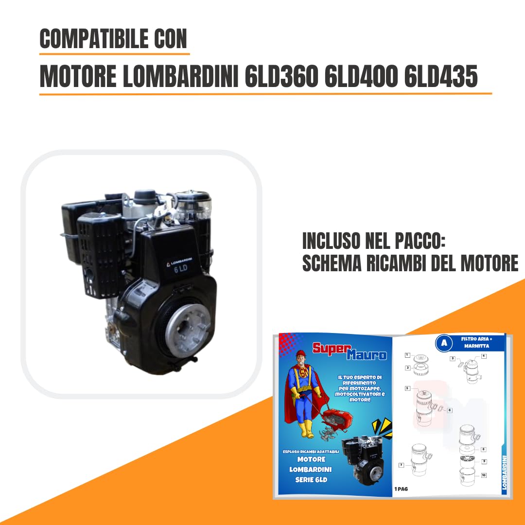 Pompa Iniezione Completa Compatibile per Motore Lombardini Diesel 6LD 360, 6LD 400, 6LD 435 per Motozappa e Motocoltivatore