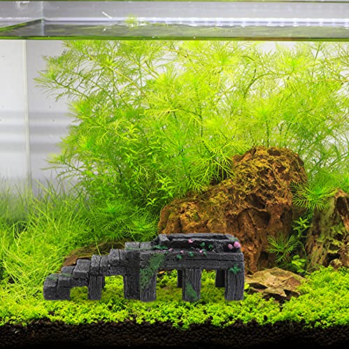 Balacoo Plataforma Basking Tartaruga Ramp Plataforma Basking Ledges Caverna Frade Peixe Escondendo C