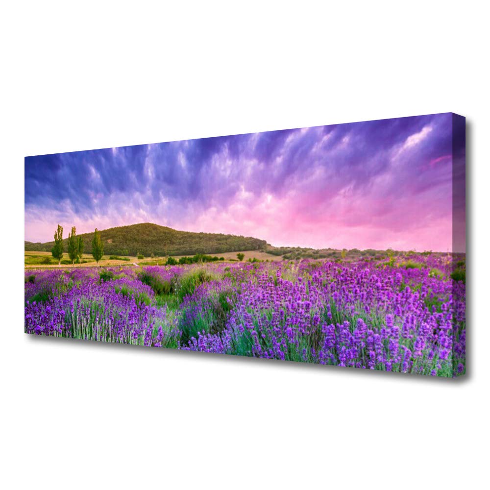 Impression sur toile moderne de qualité supérieure paysage de montagne 125x50cm
