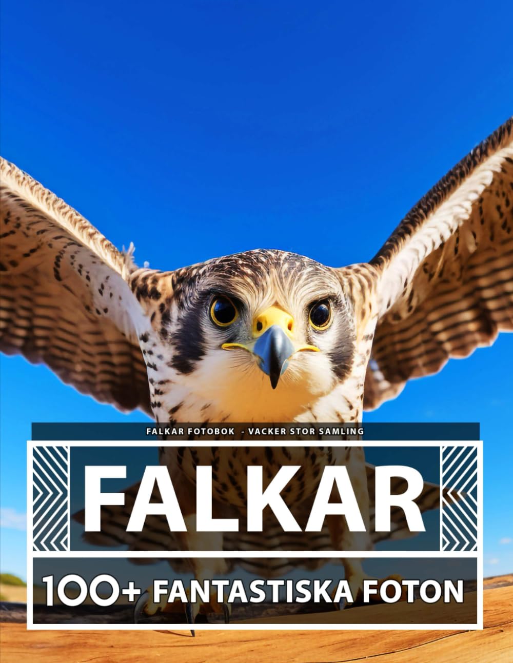 Falkar Fotobok - Vacker Stor Samling: 100+ Fantastiska Bilder - För Barn Och Vuxna