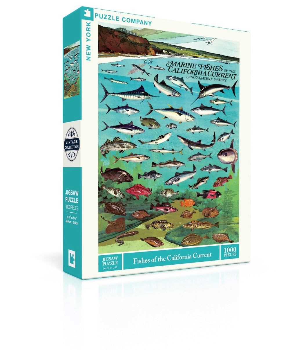New York Puzzle Company - Vintage Images Poissons du courant californien - Puzzle de 1000 pièces