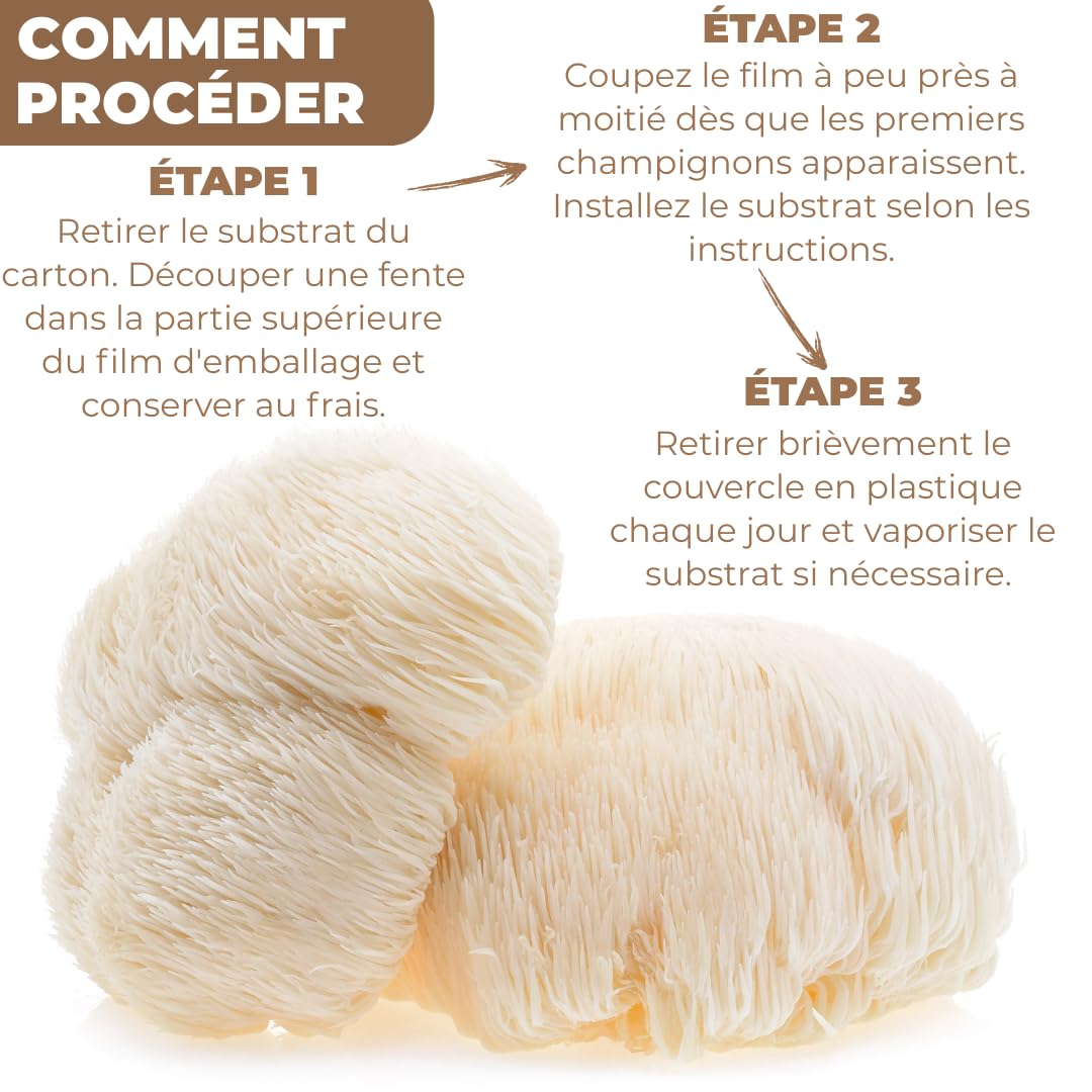 Hawlik Kit de culture de champignons Lions Mane Hericium erinaceus