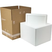 Labelmaster BioEPS Foam Cooler Insulated Shipping Container 10" x 8" x 9.75" I.D. Temperature Controlled Packaging Lightweight Durable Cold Chain Solution with Outer Shipping Carton Included