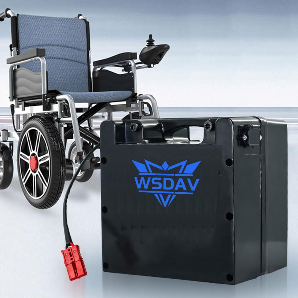 Batería para Silla de Ruedas eléctrica de 24 V LiFePO4, 24 V, 15 Ah, 20 Ah, 25 Ah, 30 Ah, 35 Ah, 40 Ah, 45 Ah, 50 Ah, 60 Ah, con Cargador.