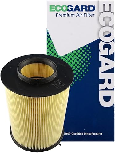 ECOGARD Filtro de aire de motor XA6149 Premium compatible con Ford Focus 2.0L 2012-2018, Escape 2.0L 2013-2019, Escape 1.5L 2017-2019, Escape 1.6L