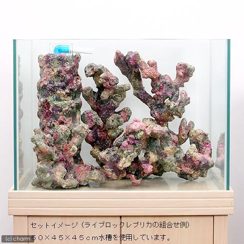 Reef Works 樹脂製人工ライブロック｜リアル塗装 海水水槽用 レプリカ7 Amazon | ライブロックレプリカ ライブロックリング 40cm 沖縄別途