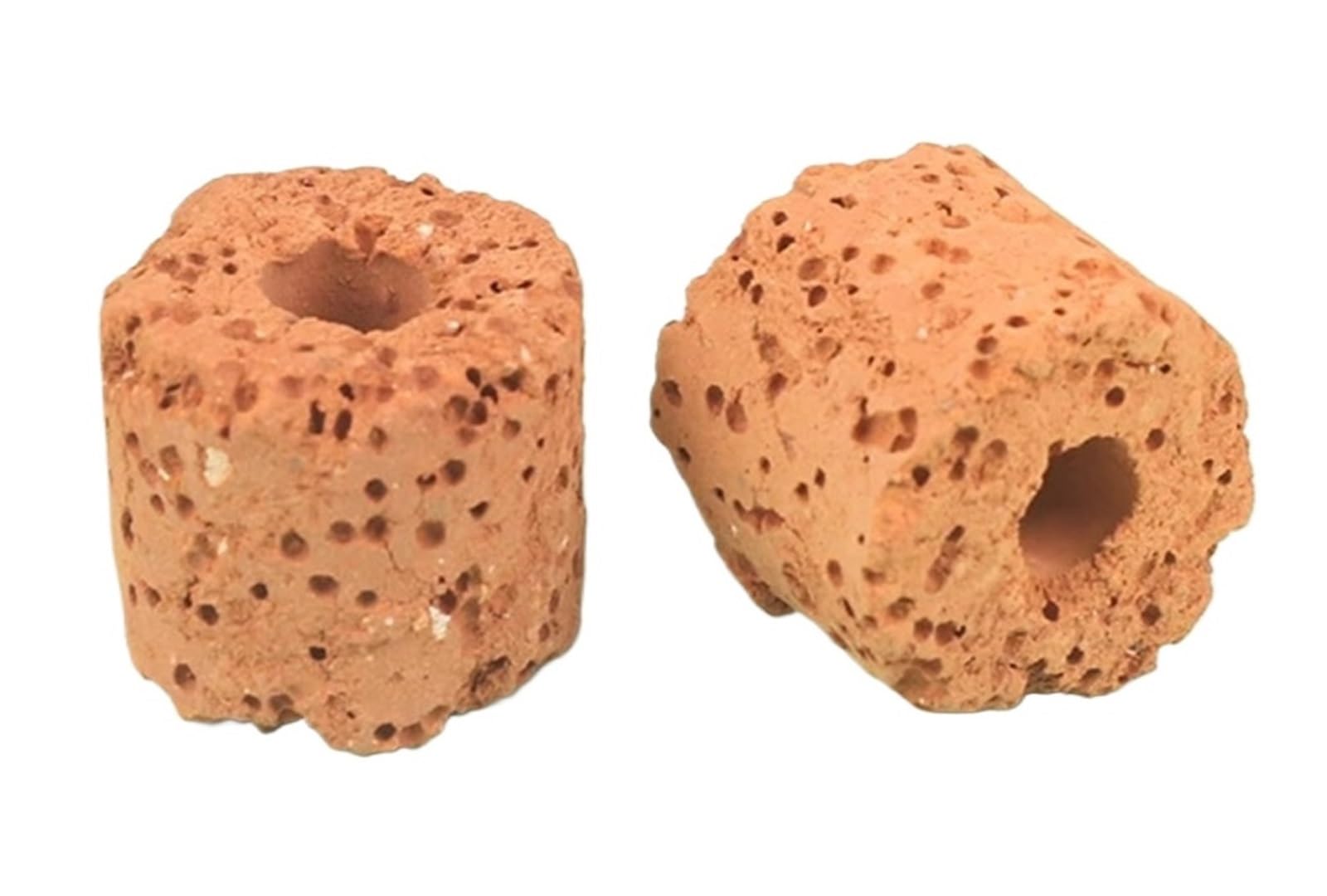 Mlyvax 60Pcs Mini Aquatic Plant Ring Bio For Aquarium Plants Decorative Holder For Small Tank Setup