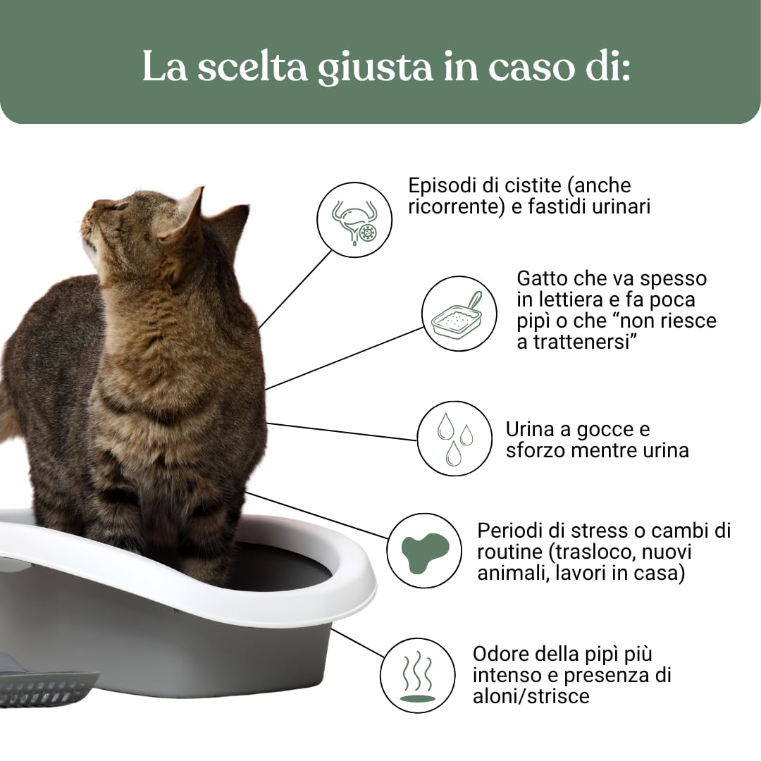 Miào Supporto Basse Vie Urinarie Gatto Pasta – Aiuto per Cistite, Minzione Frequente, Stimolo Continuo, Benessere Vescica, Facile Somministrazione