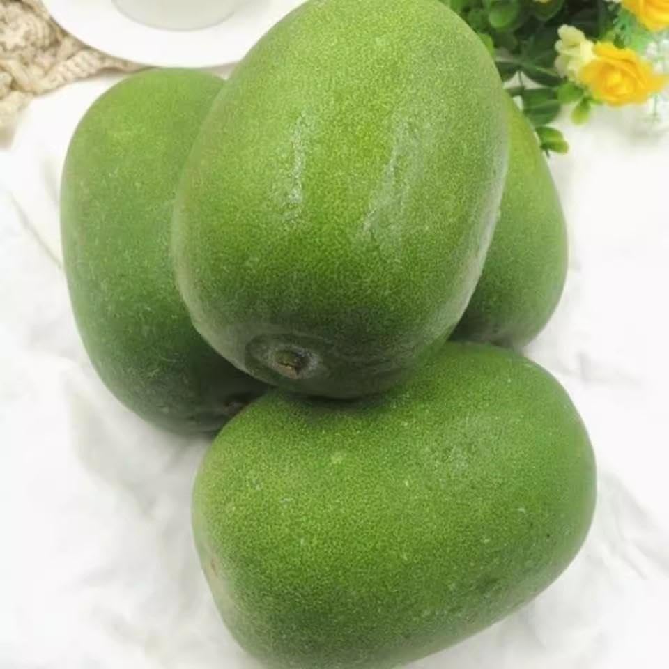 ミニとうがんの種 トウガン・姫とうがん| 種・苗・ガーデニング用品の【タキイ