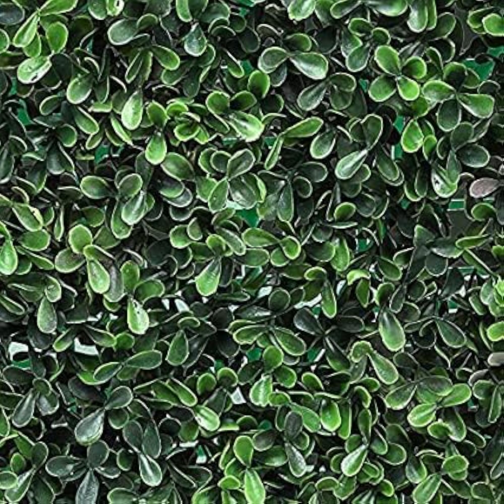 Artificial Wall Grass Panel, Greenery Mats for Decoration