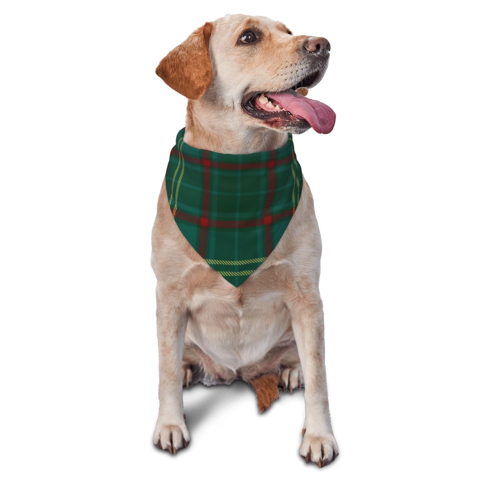 Sipeigyd Pet Triangle Scarf, Armagh County Irish Tartan pet cat and Dog Scarf, Pet Clothing Accessories, Plaid Pet Scarf, for Small to Large Dogs Cats