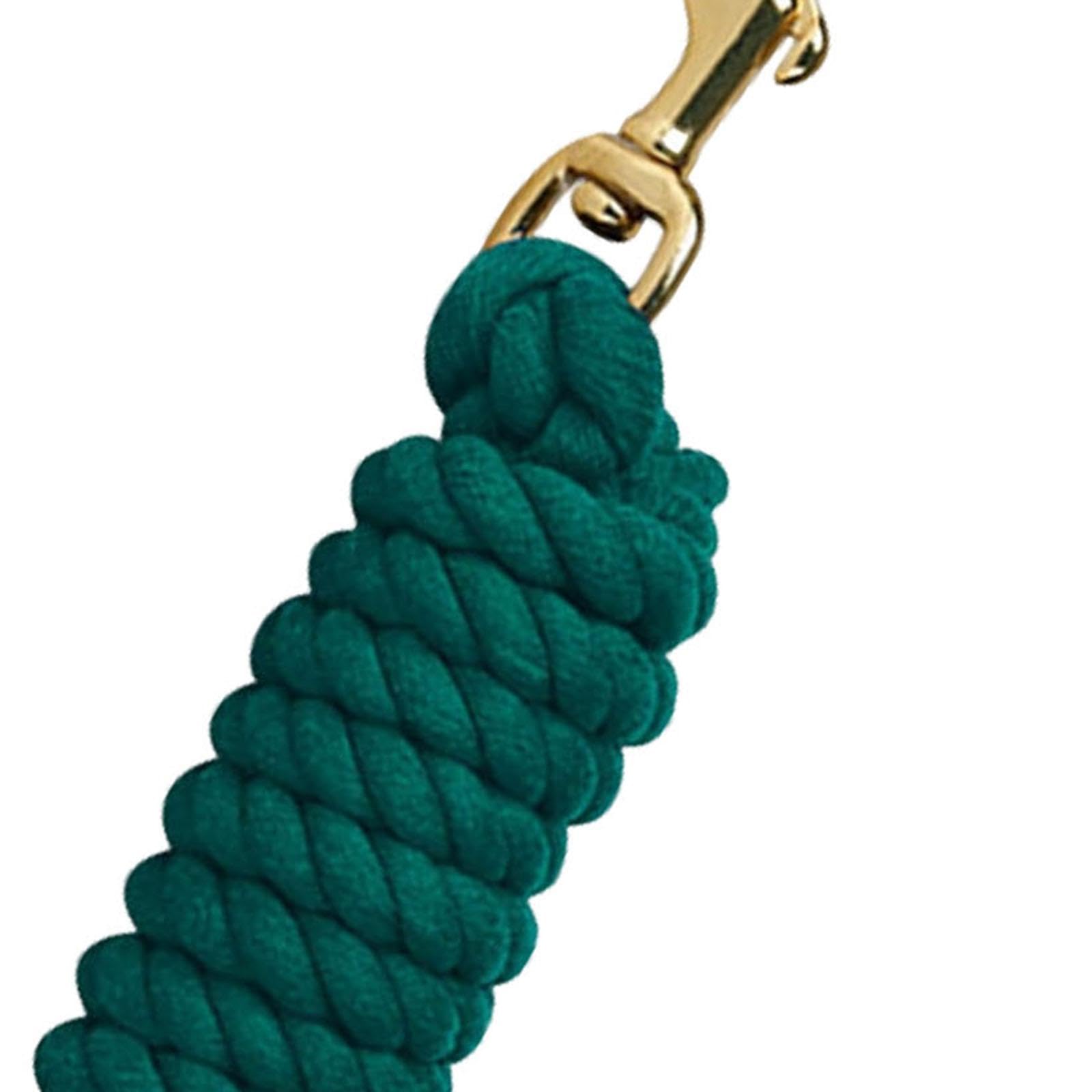 Guinzaglio per Cavalli, Corda per Addestramento E Passeggiate, Corda in Cotone con Redini E Moschettone Girevole, Guinzaglio Resistente per Addestrame, Verde