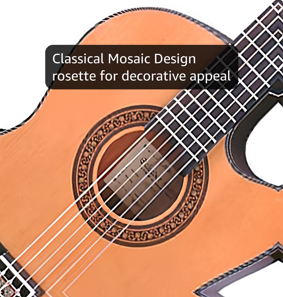 Ibanez GA5TCE Classical Electro Acous tic Guitar, Amber - 4/4 classical guitar