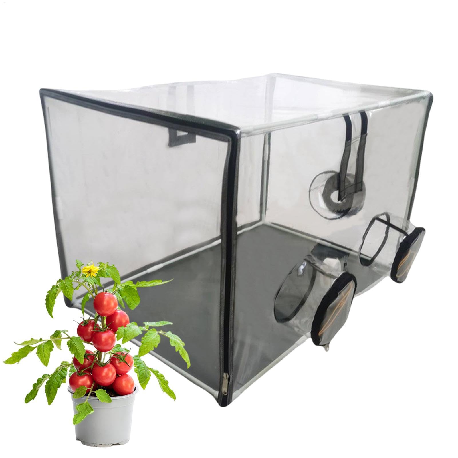 Mini-gewächshaus, Wasserdichtes UV-beständiges – Mini-gewächshaus, 31 | 5 x 19,69 x 19,69 Zoll Pilzzuchtschuppen Mit 3 Öffnungen Witwen Gartengeschenke Für Frauen Männer
