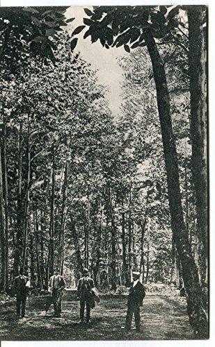 Primi '900 Fiuggi Bosco dei Castagni FP B/N ANIM