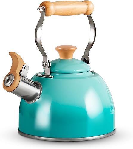 ROCKURWOK Hervidor de té, tetera con mango ergonómico Cool Touch, tetera de acero inoxidable de grado alimenticio, tetera para tetera, tetera de