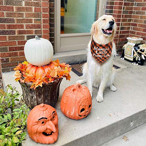 Thanksgiving Dog Plaid Bandana Pack Of 2 #TOP5