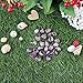 cosynee Healing Gemstone Rune Stones with Pouch (Amethyst)