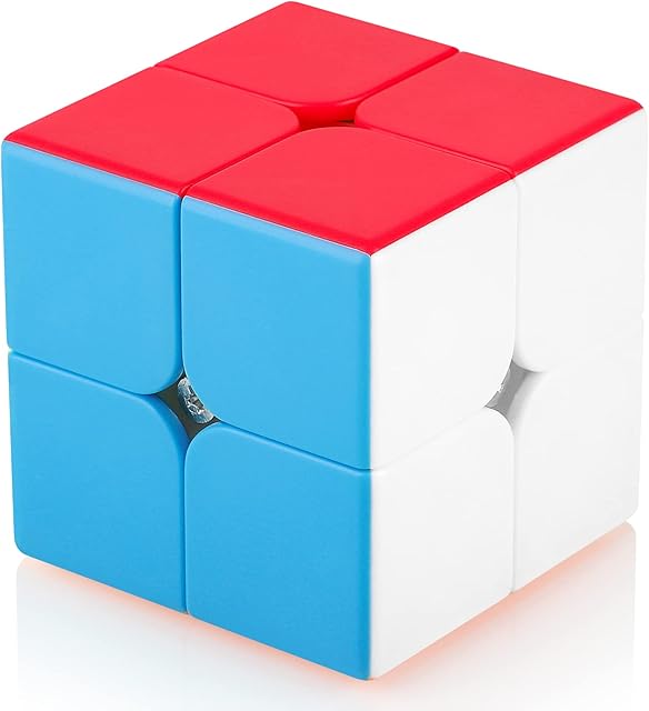Maomaoyu Speed Magic Cube Stickerless 2x2 2x2x2 Smooth Magic Cube 3D Brain Teasers Stocking Filler Toy