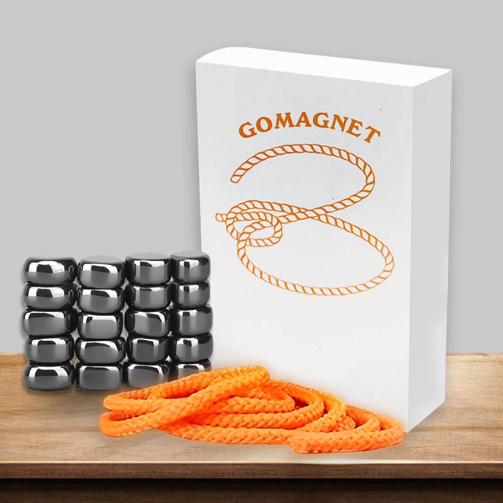 GOMAGNET Fun Magnetic Board Game | for Kids and Adults | 20 Magnets, Travel Bag and Lanyard (B0DDY78W3M) Amazon Price History, Amazon Price Tracker
